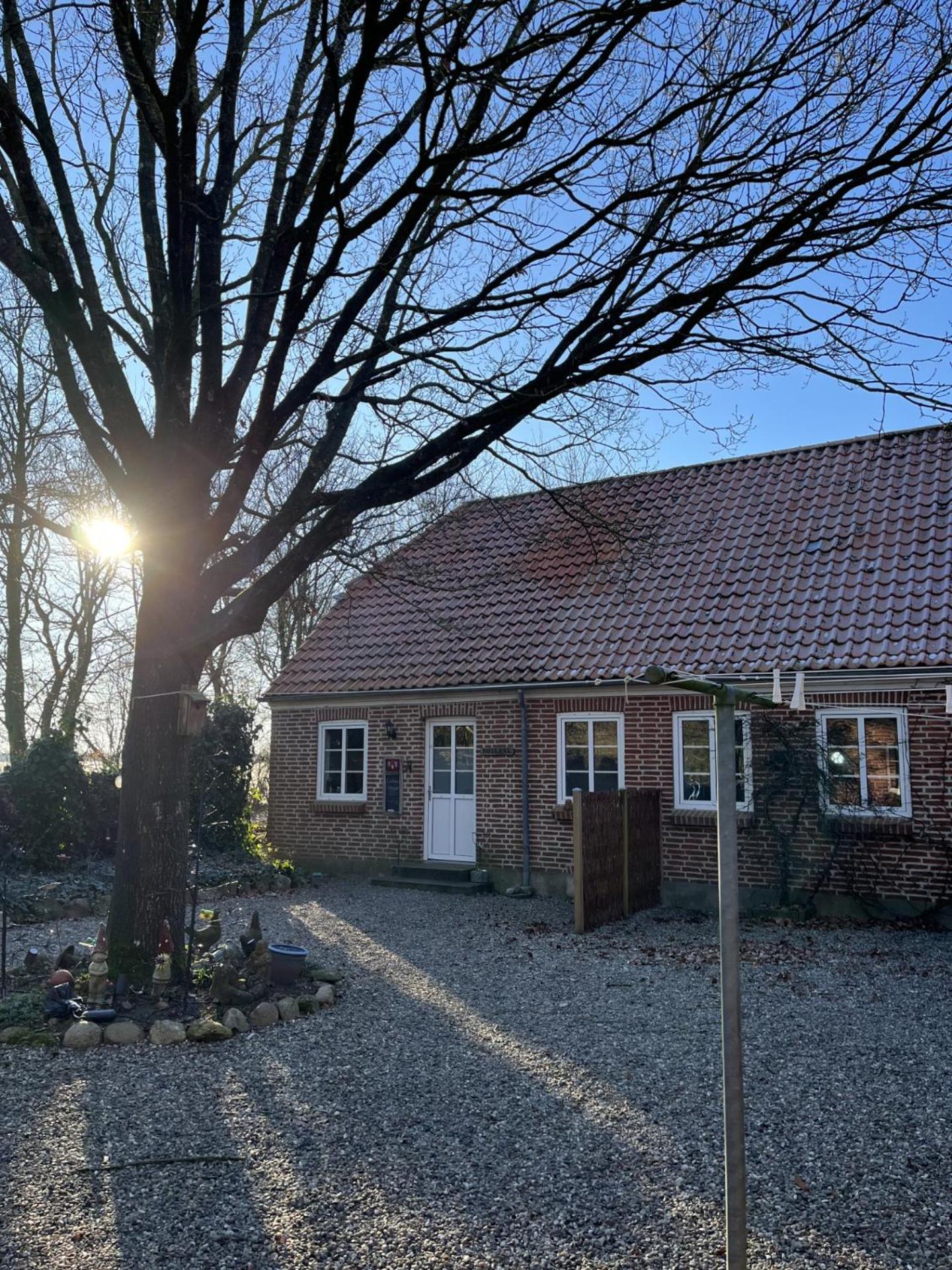 Familiehuis Boysen Appartementen Ribe Exterior foto
